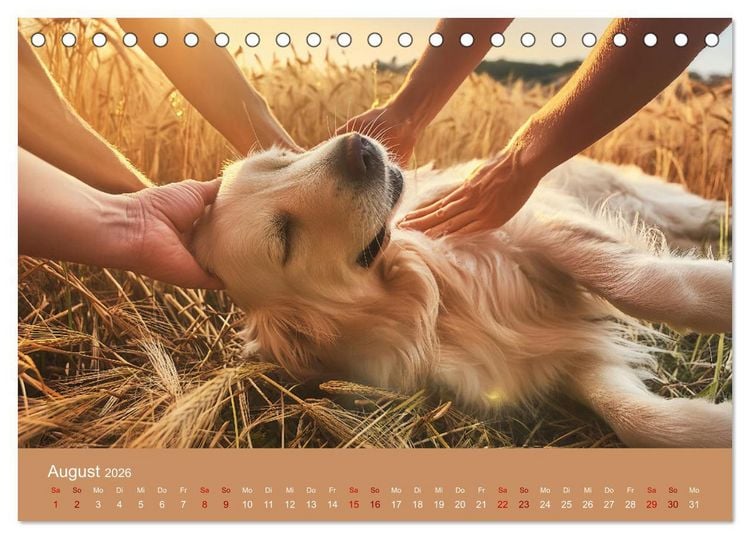 Produktbild: Tierische Urlaubstr&auml;ume (Tischkalender 2026 DIN A5 quer), CALVENDO Monatskalender