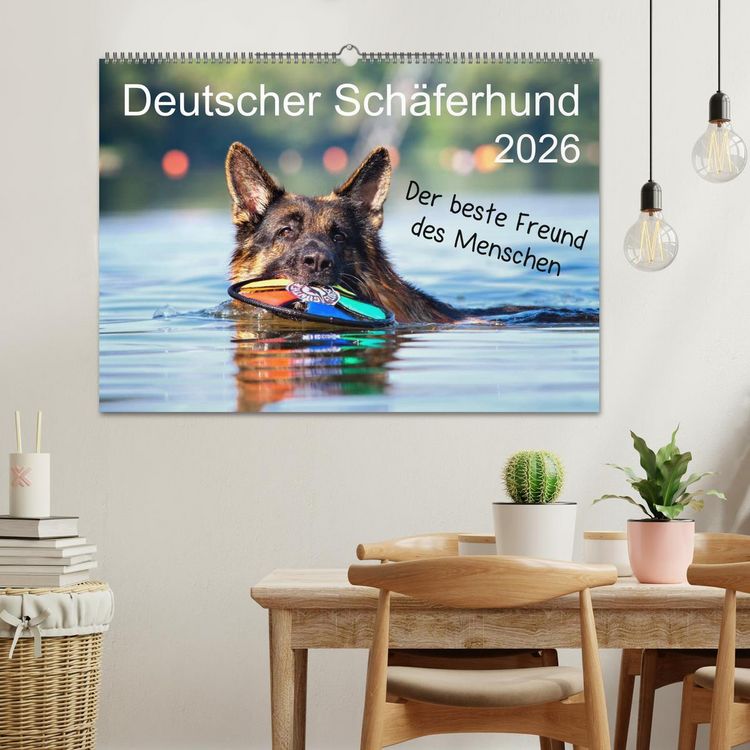 Produktbild: Deutscher Sch&auml;ferhund - Der beste Freund des Menschen (Wandkalender 2026 DIN A2 quer), CALVENDO Monatskalender