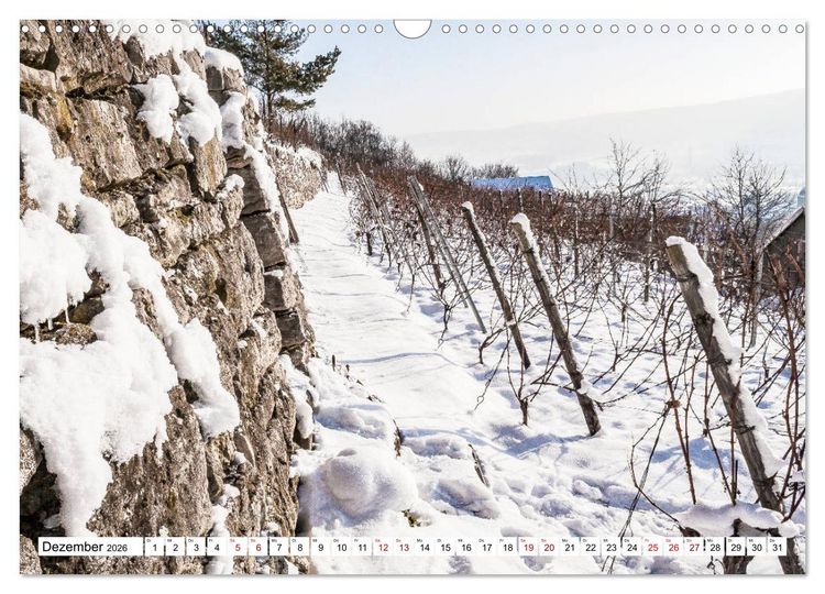 Produktbild: Weinberge um Jena (Wandkalender 2026 DIN A3 quer), CALVENDO Monatskalender