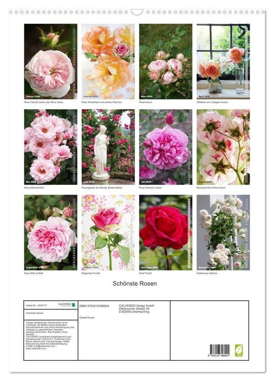 Produktbild: Sch&ouml;nste Rosen (Wandkalender 2026 DIN A2 hoch), CALVENDO Monatskalender