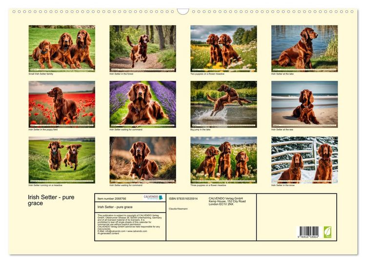 Produktbild: Irish Setter - pure grace (Wall Calendar 2026 DIN A2 landscape), CALVENDO 12 Month Wall Calendar