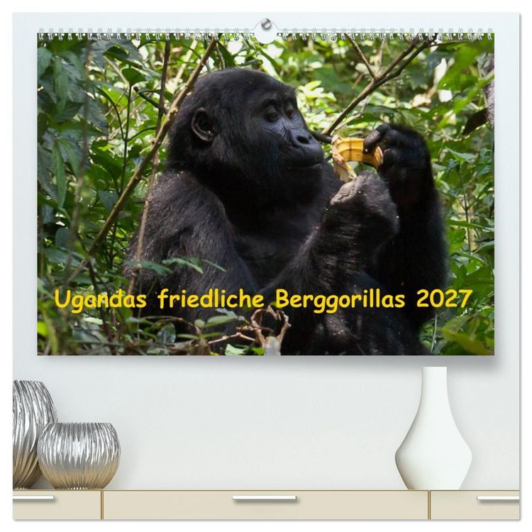 Produktbild: Ugandas friedliche Berggorillas (hochwertiger Premium Wandkalender 2027 DIN A2 quer), Kunstdruck in Hochglanz