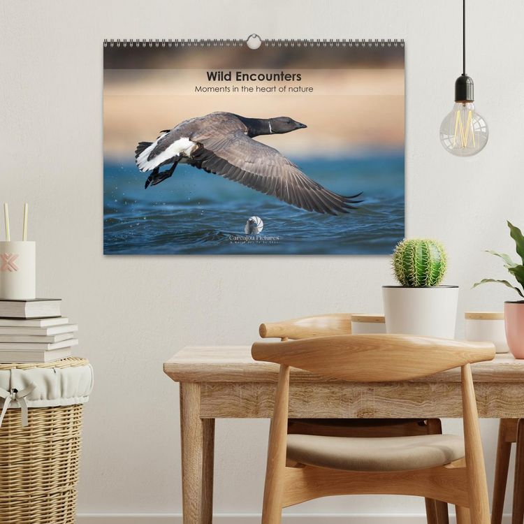 Produktbild: Wild encounters &ndash; Moments in the heart of nature (Wall Calendar 2026 DIN A3 landscape), CALVENDO 12 Month Wall Calendar