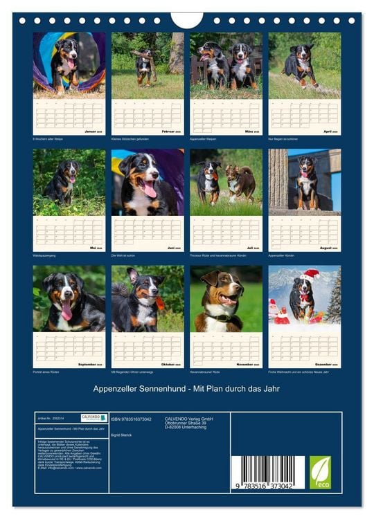 Produktbild: Appenzeller Sennenhund - Mit Plan durch das Jahr (Wandkalender 2026 DIN A4 hoch), CALVENDO Monatskalender