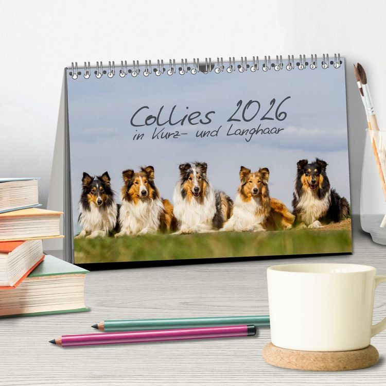 Produktbild: Collies 2026 in Kurz- und Langhaar (Tischkalender 2026 DIN A5 quer), CALVENDO Monatskalender