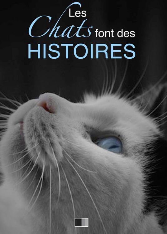 Produktbild: Les chats font des histoires