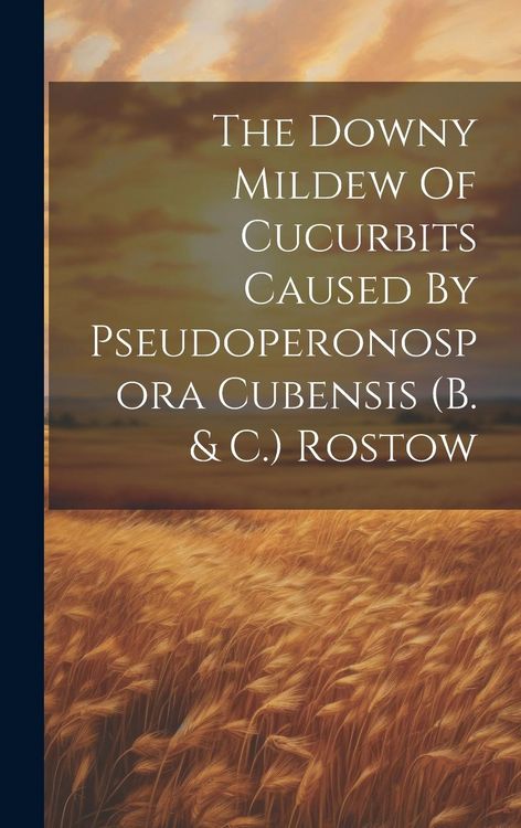 Produktbild: The Downy Mildew Of Cucurbits Caused By Pseudoperonospora Cubensis (b. & C.) Rostow