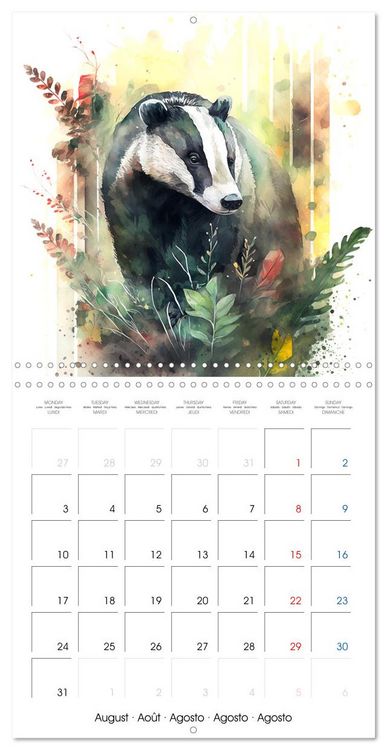 Produktbild: Animaux de la for&ecirc;t &agrave; l'aquarelle (Calendrier mural carr&eacute; 2026 30x30 cm) Calendrier double avec une page pour vos prises de notes