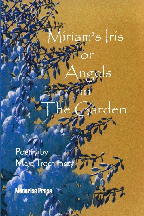 Produktbild: Miriam's Iris, or Angels in the Garden