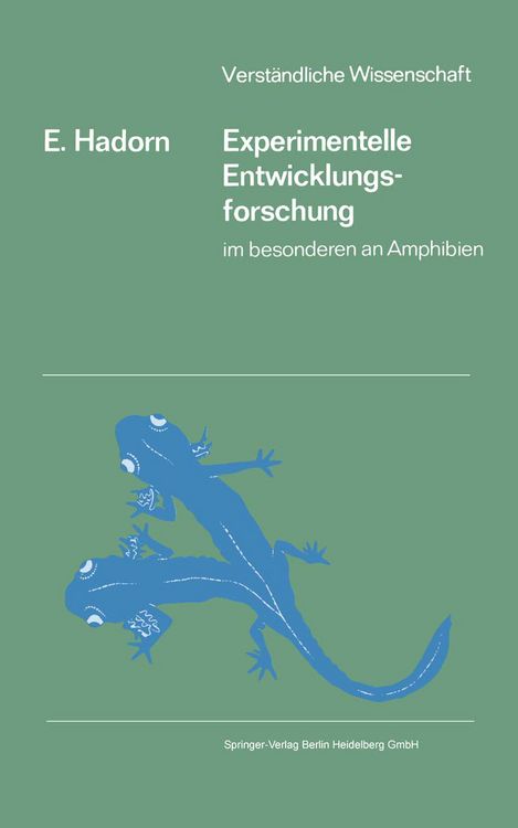 Produktbild: Experimentelle Entwicklungsforschung