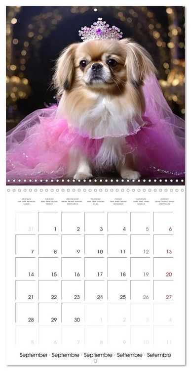 Produktbild: Grand Divas of the Dog World (Wall Calendar 2026 12 &times; 12 Inch) CALVENDO 12 Month Wall Calendar
