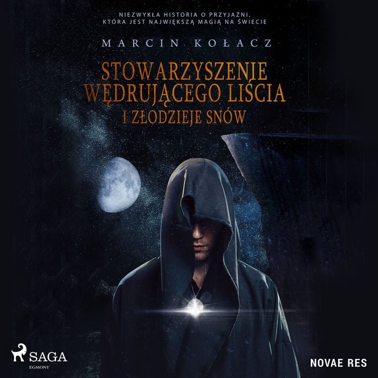 Produktbild: Stowarzyszenie wędrującego liścia i złodzieje sn&oacute;w