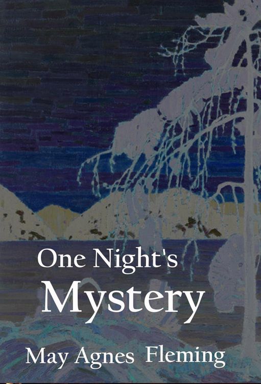 Produktbild: One Night's Mystery