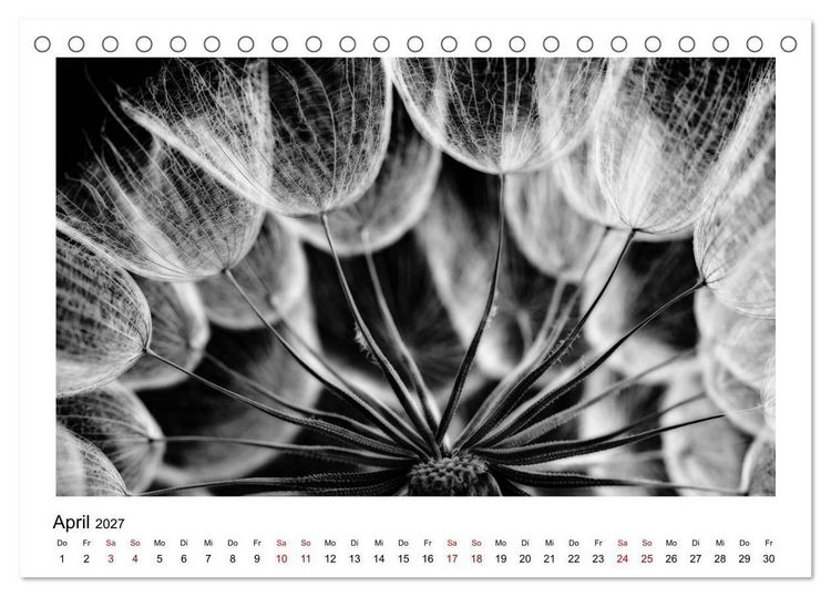 Produktbild: Die grafische Sch&ouml;nheit der Pflanzen &ndash; Schwarz-Wei&szlig; (Tischkalender 2027 DIN A5 quer), CALVENDO Monatskalender