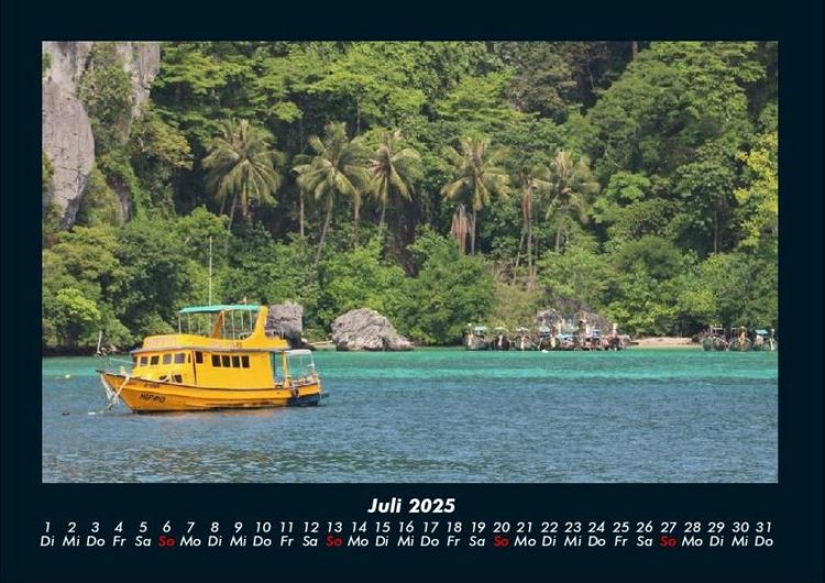 Produktbild: Palmen 2025 Fotokalender DIN A4