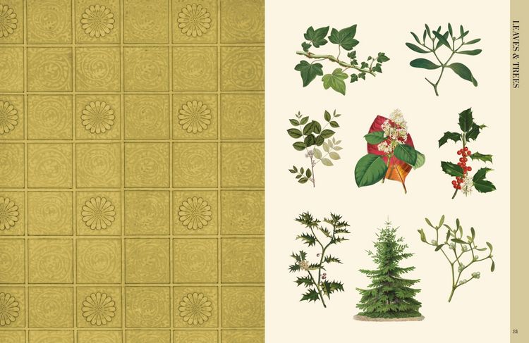 Produktbild: Botanical Art to Cut out and Collage