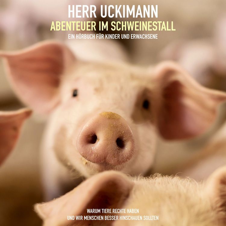 Produktbild: Herr Uckimann - Abenteuer im Schweinestall