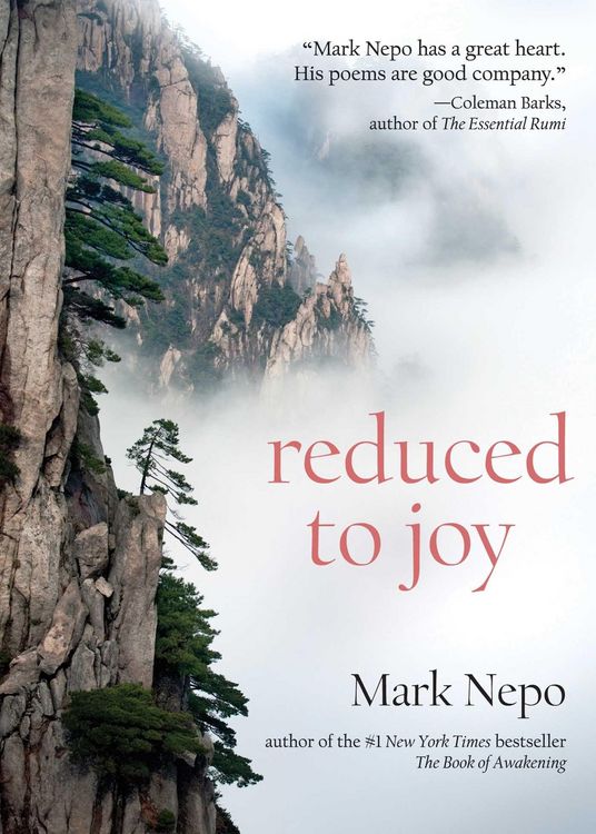 Produktbild: Reduced to Joy