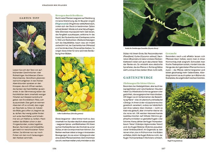 Produktbild: Gartenbotanik