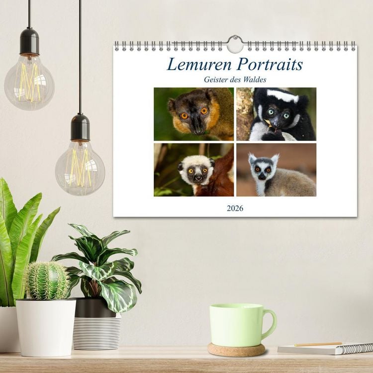 Produktbild: Lemuren Portraits (Wandkalender 2026 DIN A4 quer), CALVENDO Monatskalender