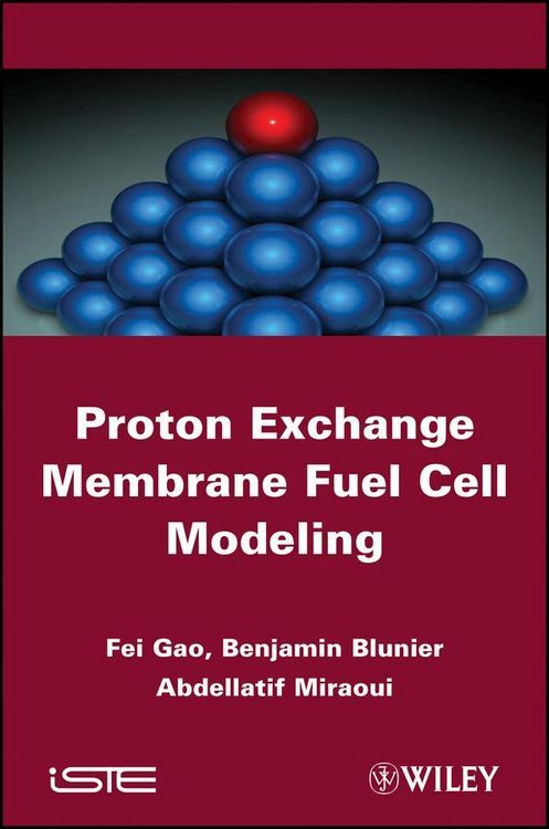 Produktbild: Proton Exchange Membrane Fuel Cells Modeling