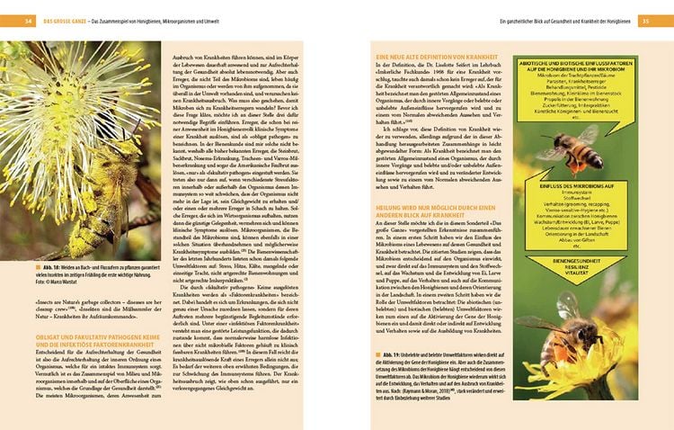 Produktbild: Bienenbau und Bienenbeute