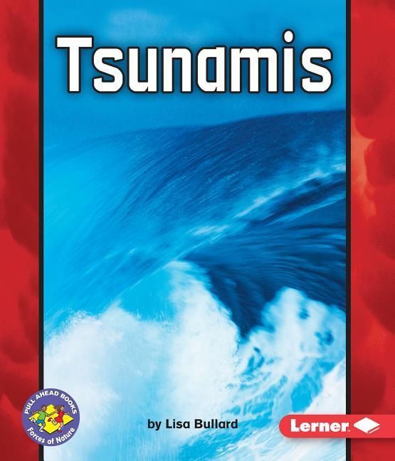 Produktbild: Tsunamis
