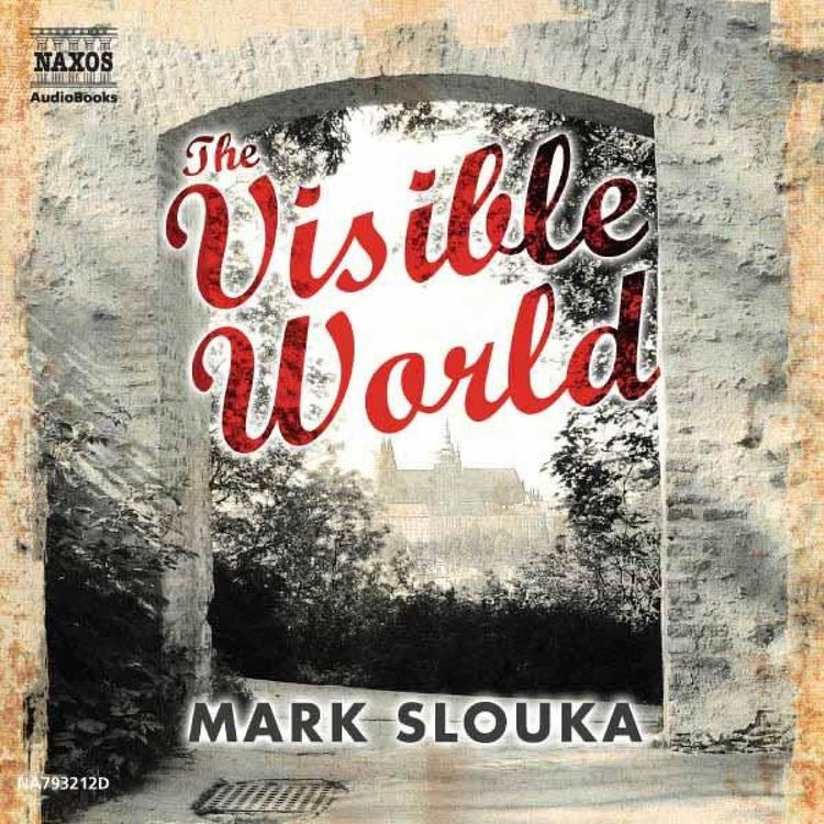 Produktbild: The Visible World