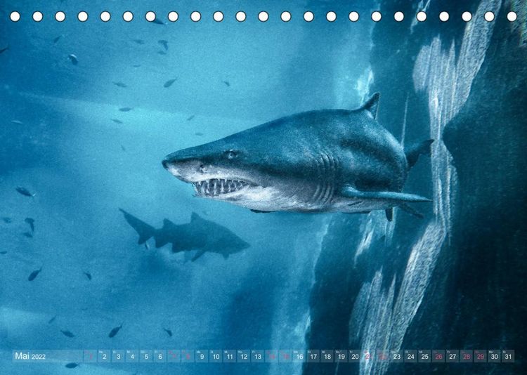 Produktbild: Das Blau der Tiefe (Tischkalender 2022 DIN A5 quer)