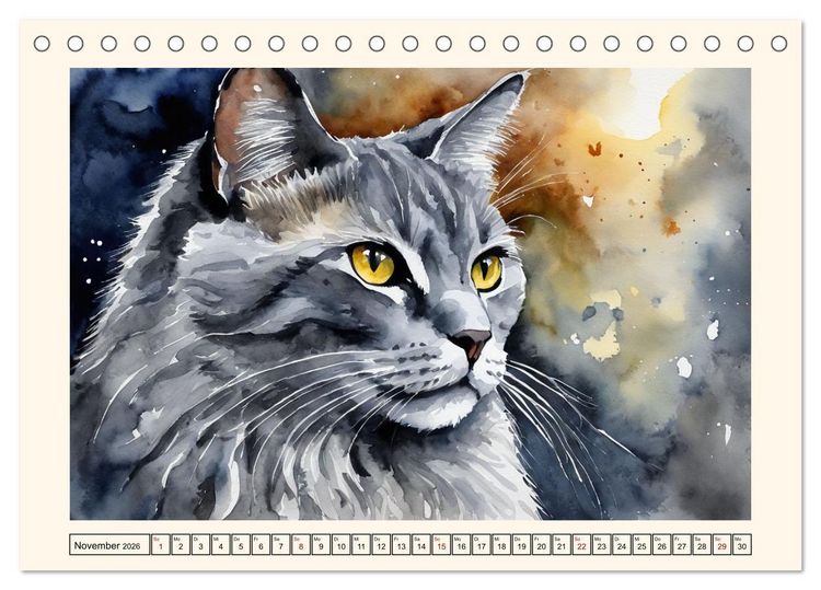 Produktbild: Samtpfoten im Portrait (Tischkalender 2026 DIN A5 quer), CALVENDO Monatskalender