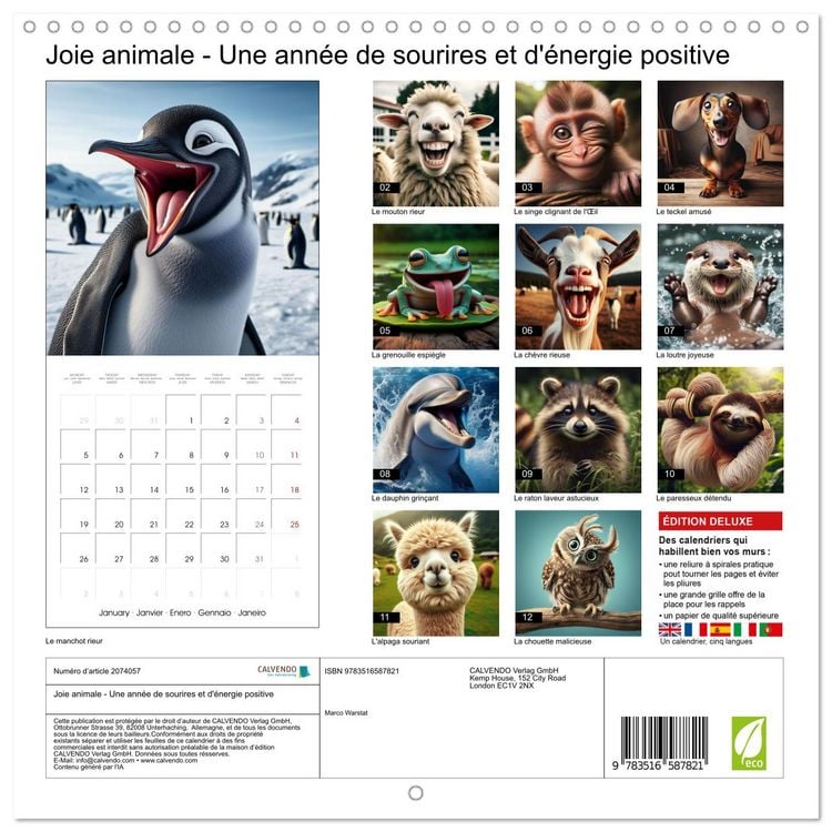 Produktbild: Joie animale - Une ann&eacute;e de sourires et d'&eacute;nergie positive (Calendrier mural carr&eacute; 2026 30x30 cm) Calendrier double avec une page pour vos prises de notes