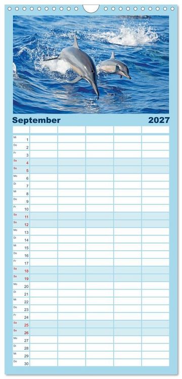 Produktbild: Familienplaner 2027 - Delfine: Elegante Wellenreiter mit 5 Spalten (Wandkalender, 21 x 45 cm) CALVENDO