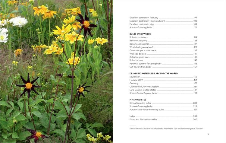 Produktbild: Growing Bulbs in the Natural Garden