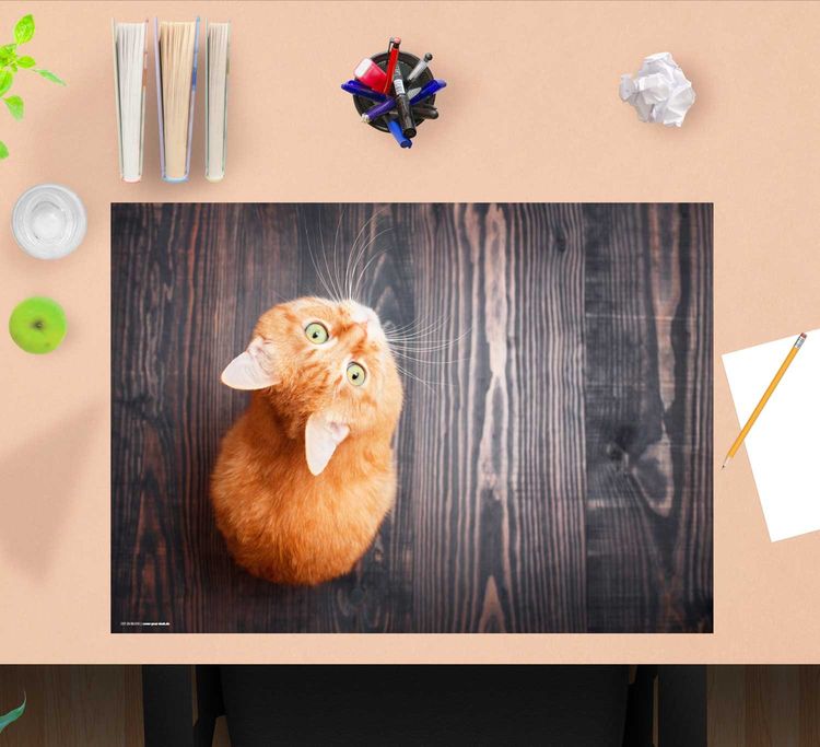Produktbild: Cover-your-desk Schreibtischunterlage f&uuml;r Kinder und Erwachsene Orange Katze, aus hochwertigem Vinyl , 60 x 40 cm