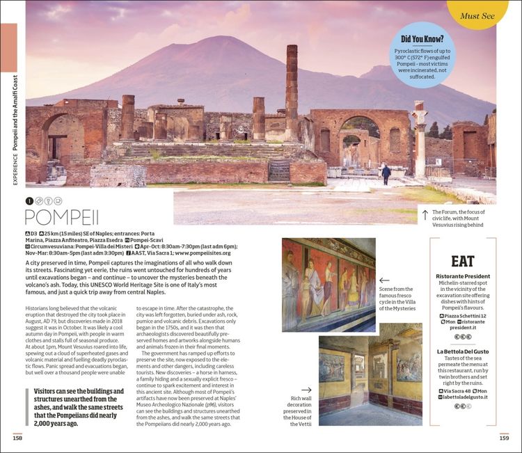 Produktbild: DK Naples and the Amalfi Coast
