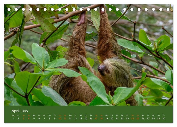 Produktbild: Costa Rica - Naturparadies zwischen Karibik und Pazifik (Tischkalender 2027 DIN A5 quer), CALVENDO Monatskalender