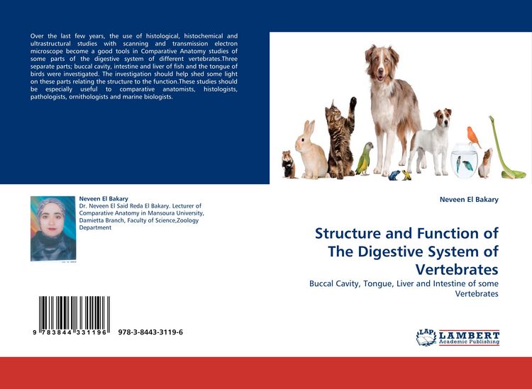 Produktbild: Structure and Function of The Digestive System of Vertebrates