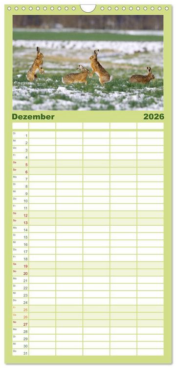 Produktbild: Familienplaner 2026 - Feldhasen in H&ouml;chstform mit 5 Spalten (Wandkalender, 21 x 45 cm) CALVENDO