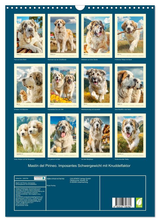 Produktbild: Mast&iacute;n del Pirineo. Imposantes Schwergewicht mit Knuddelfaktor (Wandkalender 2027 DIN A3 hoch), CALVENDO Monatskalender