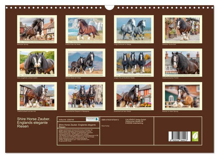 Produktbild: Shire Horse Zauber. Englands elegante Riesen (Wandkalender 2027 DIN A3 quer), CALVENDO Monatskalender