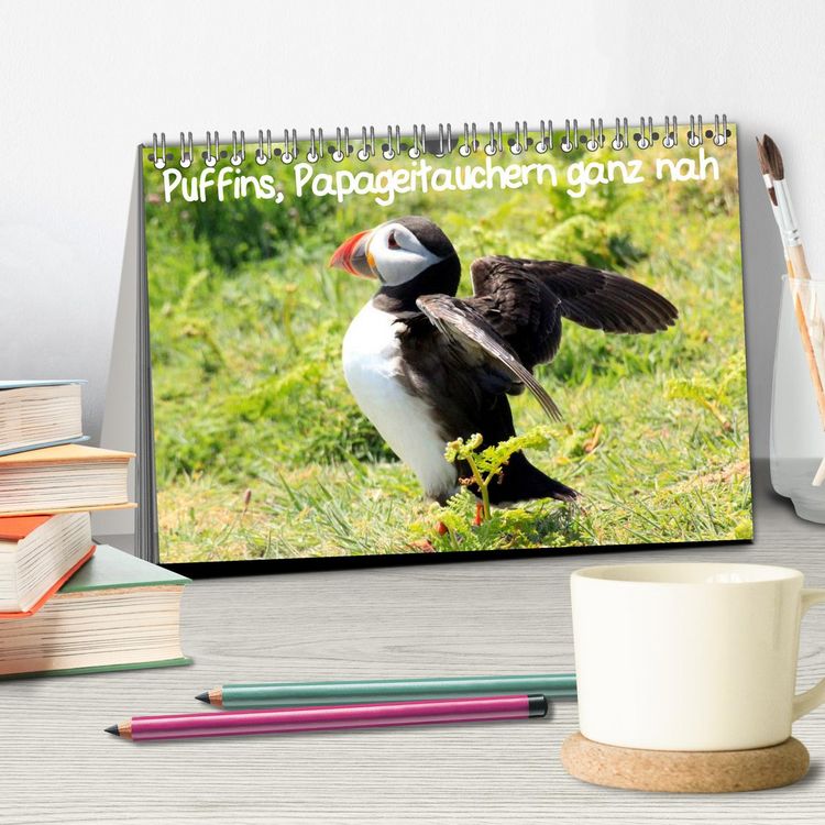 Produktbild: Puffins, Papageitauchern ganz nah (Tischkalender 2026 DIN A5 quer), CALVENDO Monatskalender