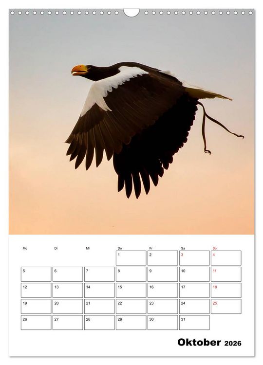 Produktbild: Raub- und Greifv&ouml;gel im Flug (Wandkalender 2026 DIN A3 hoch), CALVENDO Monatskalender