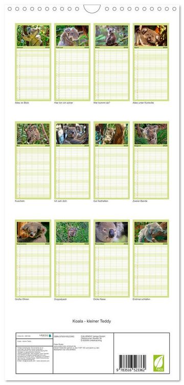 Produktbild: Familienplaner 2026 - Koala - kleiner Teddy mit 5 Spalten (Wandkalender, 21 x 45 cm) CALVENDO