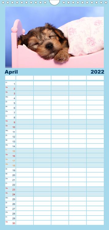 Produktbild: Familienplaner S&uuml;&szlig;e Tr&auml;ume 2022 - schlafende Hundewelpen (Wandkalender 2022 , 21 cm x 45 cm, hoch)