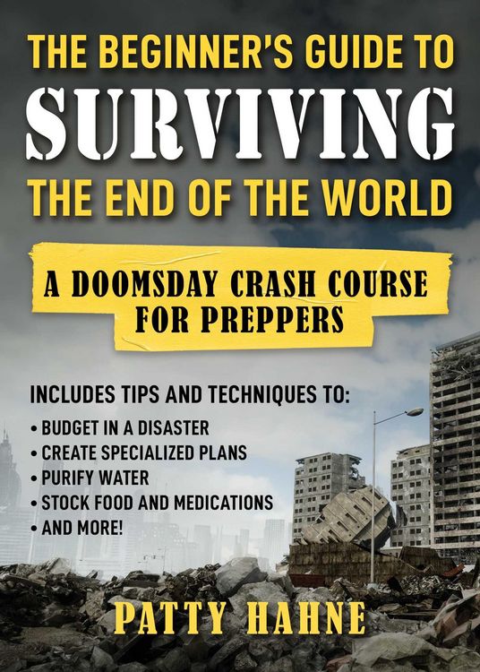 Produktbild: The Beginner's Guide to Surviving the End of the World
