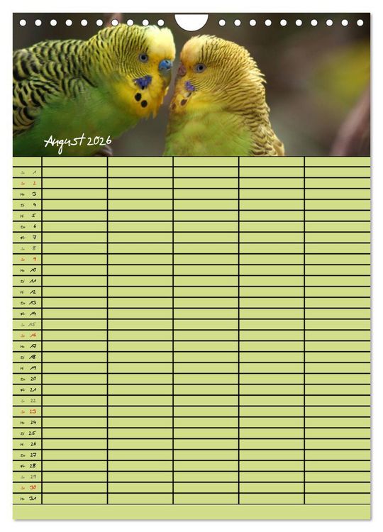 Produktbild: Der Wellensittich-Familienplaner (Wandkalender 2026 DIN A4 hoch), CALVENDO Monatskalender