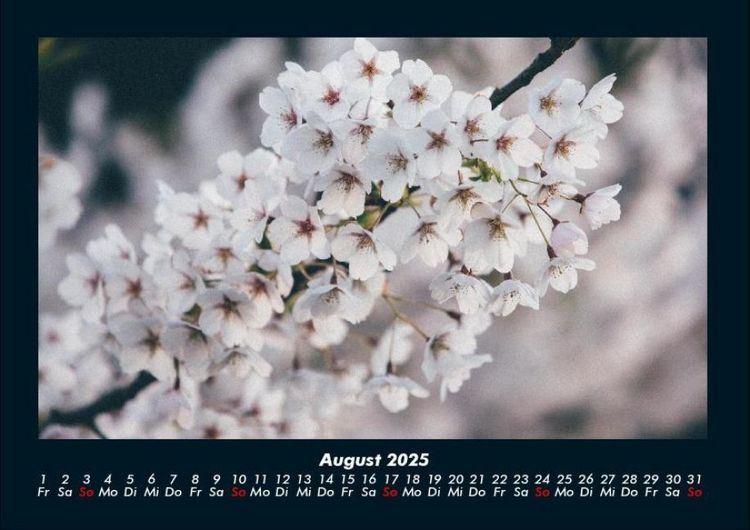 Produktbild: Blumentr&auml;ume 2025 Fotokalender DIN A4