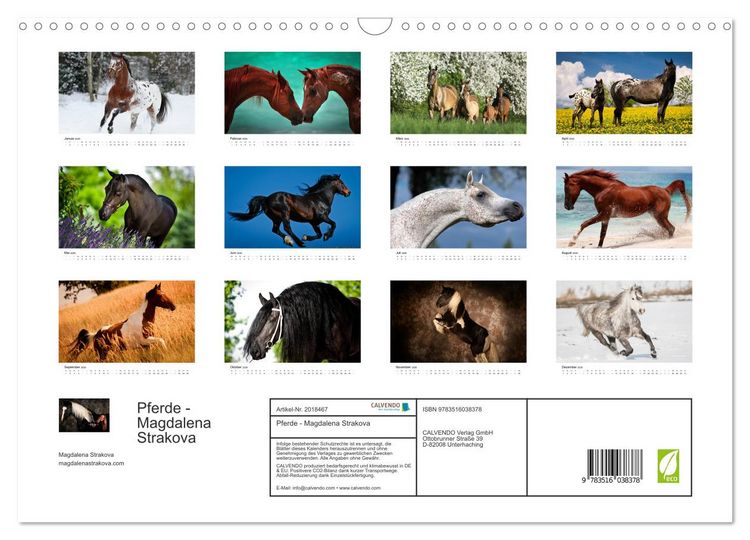 Produktbild: Pferde - Magdalena Strakova (Wandkalender 2026 DIN A3 quer), CALVENDO Monatskalender