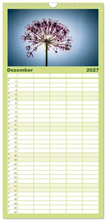 Produktbild: Familienplaner 2027 - Fr&uuml;hlingsbl&uuml;her - Farbenpracht nach dem Winter mit 5 Spalten (Wandkalender, 21 x 45 cm) CALVENDO