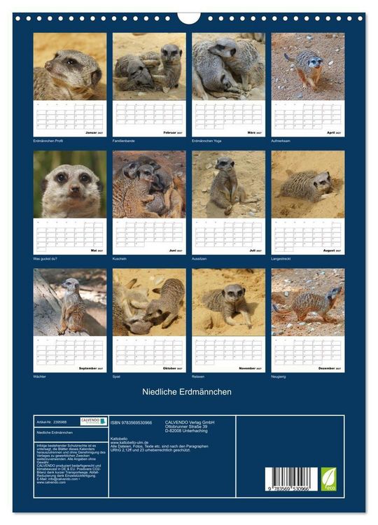 Produktbild: Niedliche Erdm&auml;nnchen (Wandkalender 2027 DIN A3 hoch), CALVENDO Monatskalender